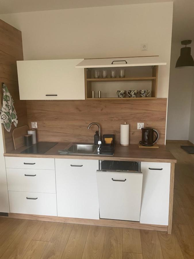 Apartament Kuba Na Spokojnej 비스와 외부 사진