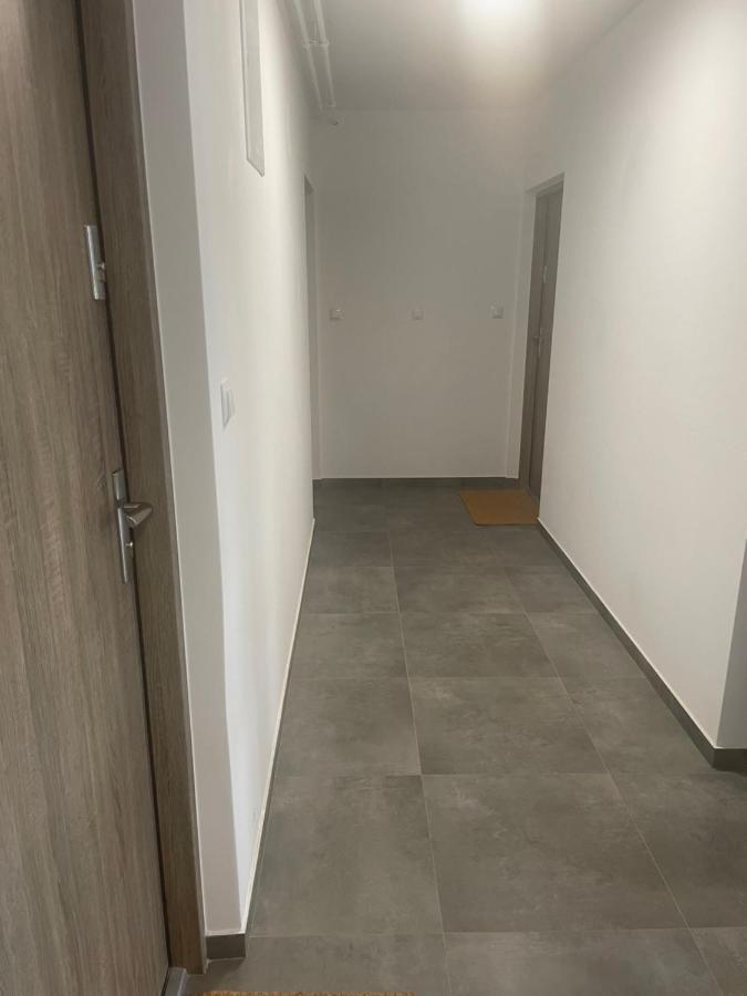Apartament Kuba Na Spokojnej 비스와 외부 사진